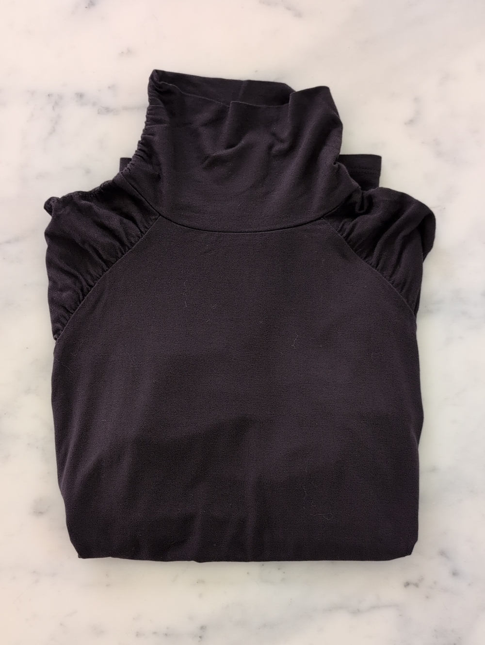 NWOT. The Limited Rayon Spandex Sleeve/High Neck W/Design Short Sleeve Blouse.
